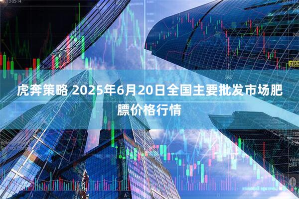 虎奔策略 2025年6月20日全国主要批发市场肥膘价格行情